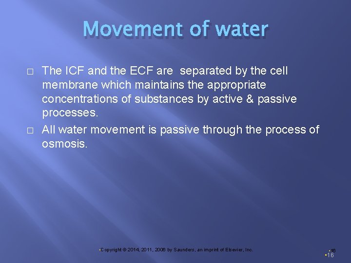 Movement of water � � The ICF and the ECF are separated by the