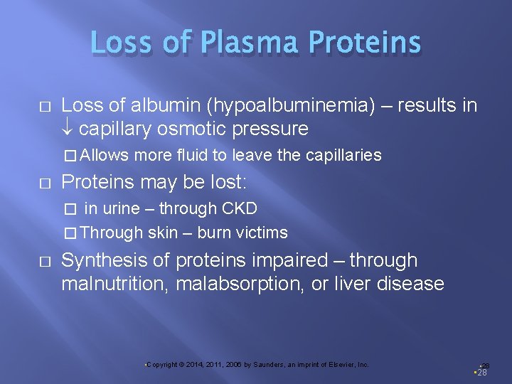 Loss of Plasma Proteins � Loss of albumin (hypoalbuminemia) – results in capillary osmotic