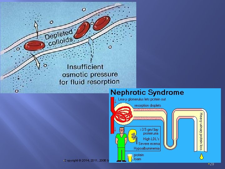  • Copyright © 2014, 2011, 2006 by Saunders, an imprint of Elsevier, Inc.