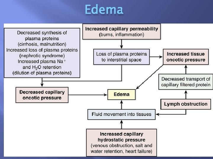 Edema • Copyright © 2014, 2011, 2006 by Saunders, an imprint of Elsevier, Inc.
