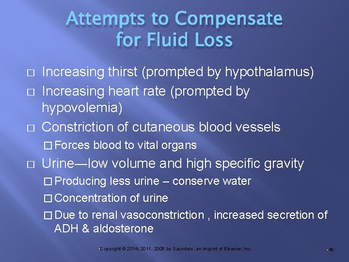 Attempts to Compensate for Fluid Loss � � � Increasing thirst (prompted by hypothalamus)