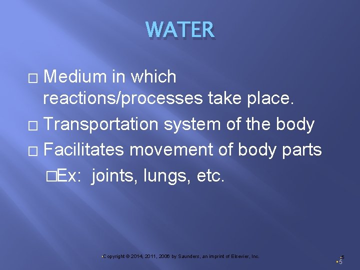 WATER Medium in which reactions/processes take place. � Transportation system of the body �