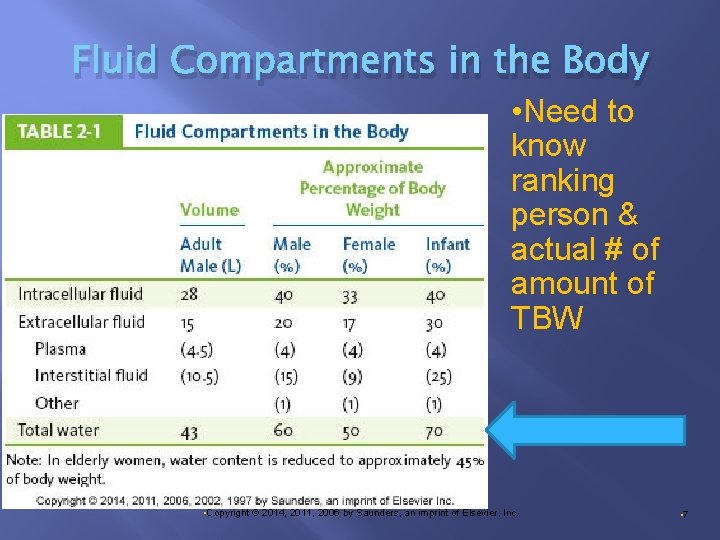 Fluid Compartments in the Body • Need to know ranking person & actual #