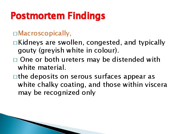 Postmortem Findings � Macroscopically, � Kidneys are swollen, congested, and typically gouty (greyish white