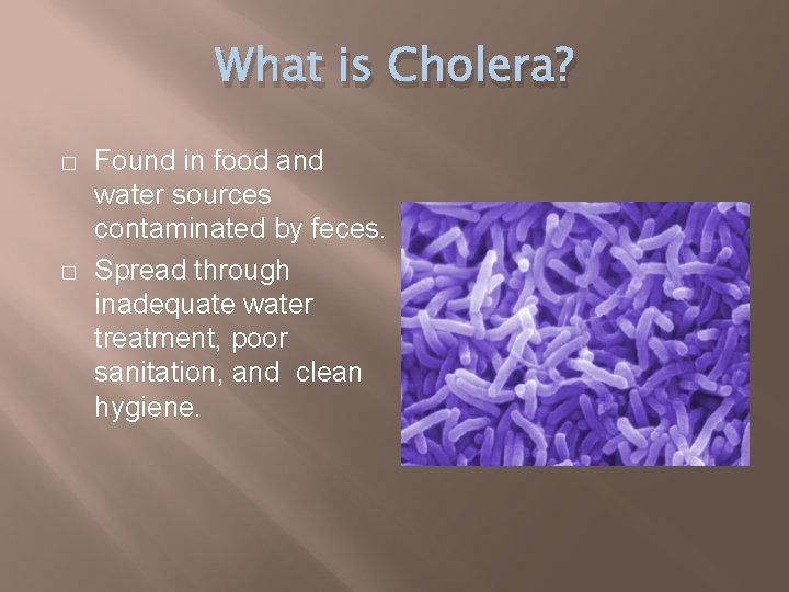 What is Cholera? � � Found in food and water sources contaminated by feces.