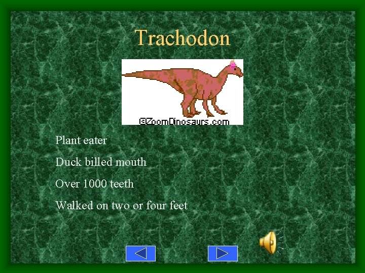 Trachodon Plant eater Duck billed mouth Over 1000 teeth Walked on two or four