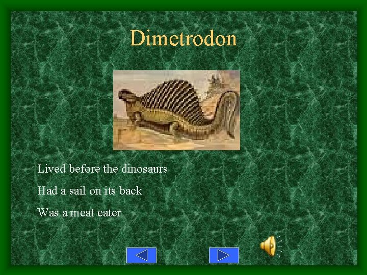 Dimetrodon Lived before the dinosaurs Had a sail on its back Was a meat