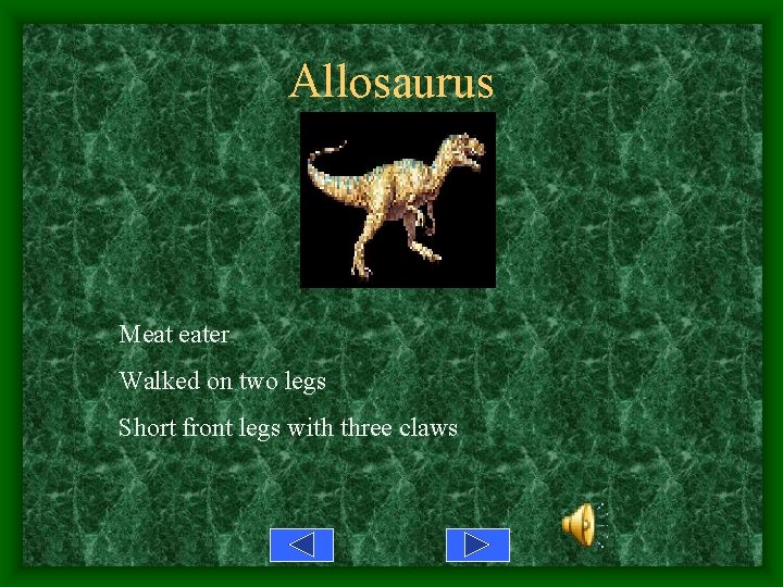 Allosaurus Meat eater Walked on two legs Short front legs with three claws 