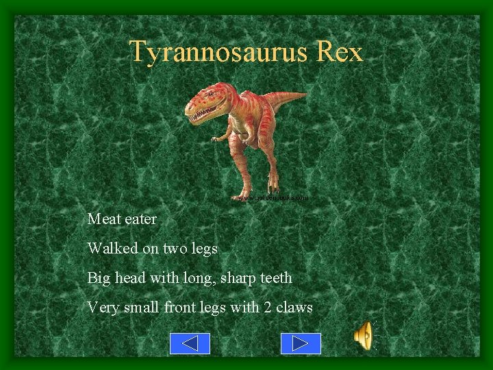 Tyrannosaurus Rex Meat eater Walked on two legs Big head with long, sharp teeth