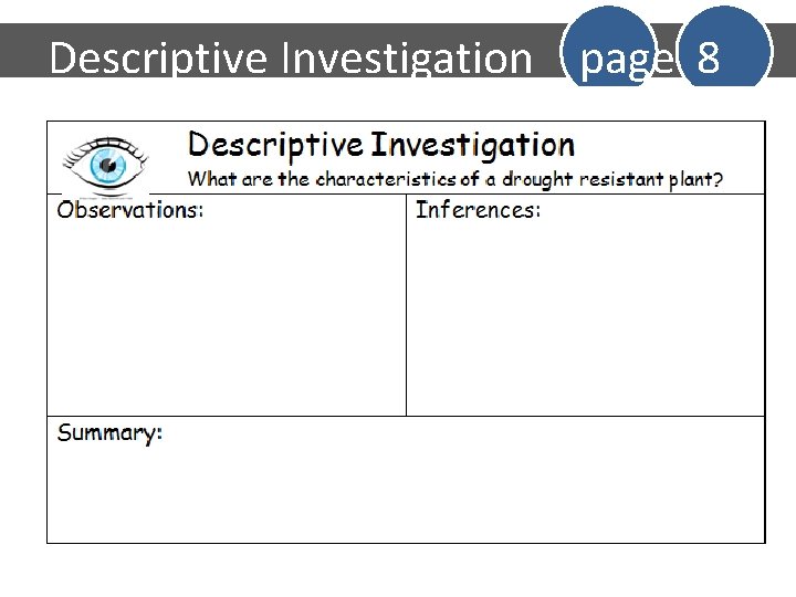 Descriptive Investigation page 8 