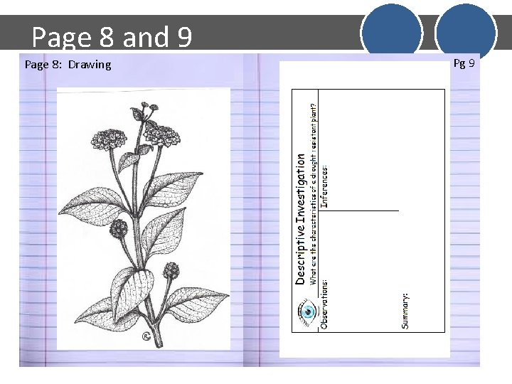 Page 8 and 9 Page 8: Drawing Pg 9 