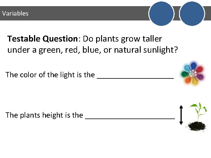 Variables Testable Question: Do plants grow taller under a green, red, blue, or natural