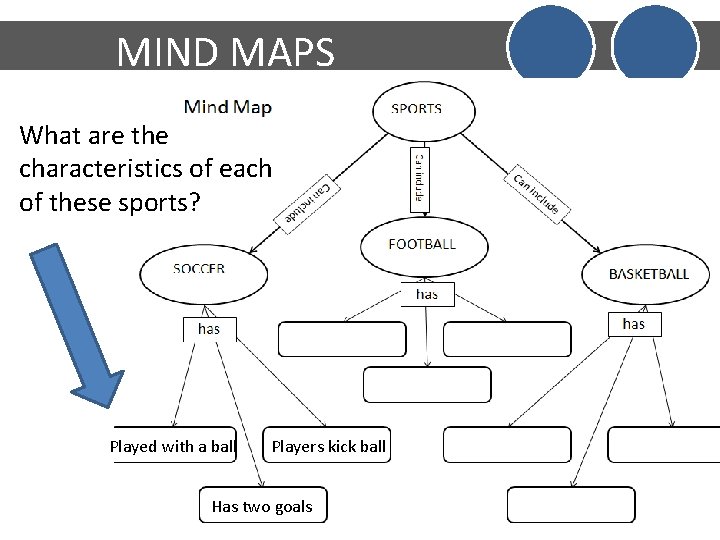 MIND MAPS What are the characteristics of each of these sports? Played with a