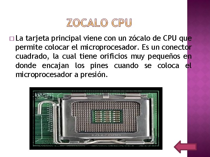 � La tarjeta principal viene con un zócalo de CPU que permite colocar el