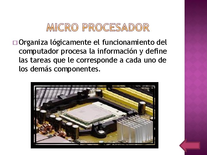 � Organiza lógicamente el funcionamiento del computador procesa la información y define las tareas