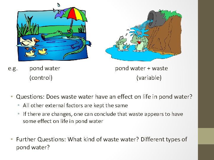 e. g. pond water (control) pond water + waste (variable) • Questions: Does waste