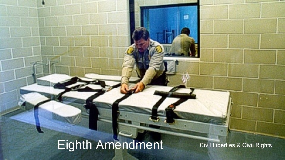 Eighth Amendment Civil Liberties & Civil Rights 