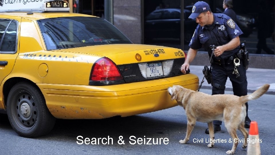 Search & Seizure Civil Liberties & Civil Rights 