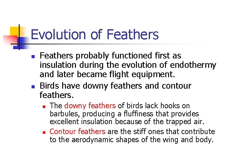 Evolution of Feathers n n Feathers probably functioned first as insulation during the evolution