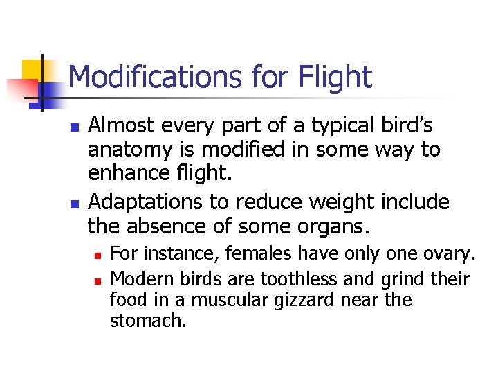 Modifications for Flight n n Almost every part of a typical bird’s anatomy is