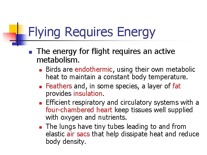 Flying Requires Energy n The energy for flight requires an active metabolism. n n