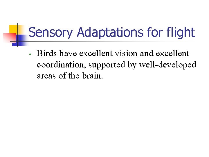 Sensory Adaptations for flight • Birds have excellent vision and excellent coordination, supported by