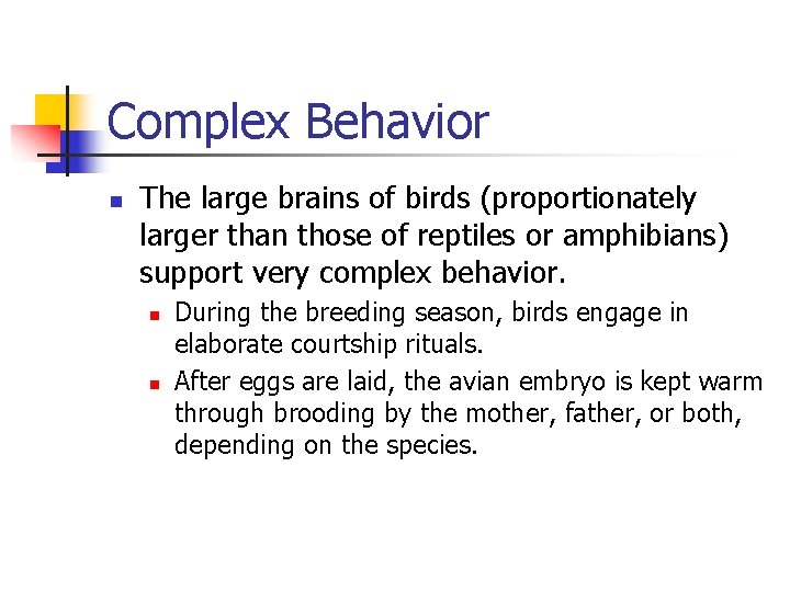 Complex Behavior n The large brains of birds (proportionately larger than those of reptiles