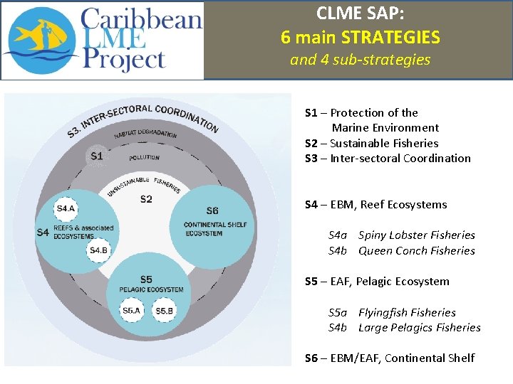 CLME SAP: 6 main STRATEGIES and 4 sub-strategies S 1 – Protection of the