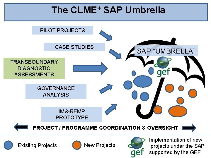 The CLME+ SAP Umbrella PILOT PROJECTS CASE STUDIES SAP “UMBRELLA” TRANSBOUNDARY DIAGNOSTIC ASSESSMENTS GOVERNANCE