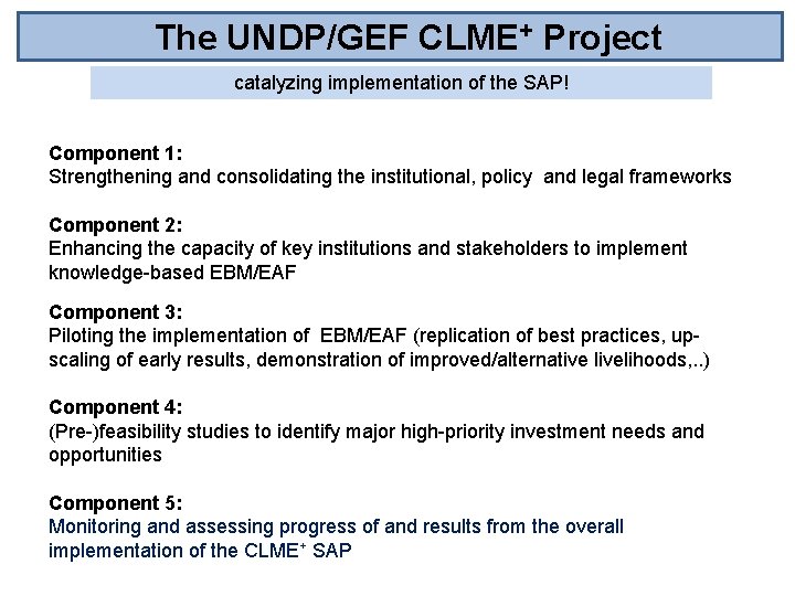 The UNDP/GEF CLME+ Project catalyzing implementation of the SAP! Component 1: Strengthening and consolidating