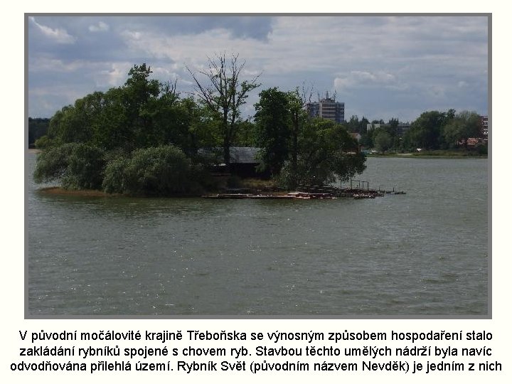 V původní močálovité krajině Třeboňska se výnosným způsobem hospodaření stalo zakládání rybníků spojené s