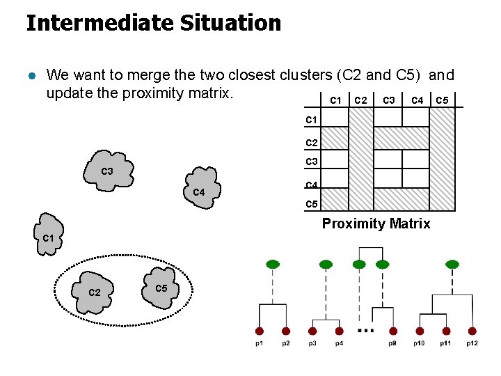 Intermediate Situation l We want to merge the two closest clusters (C 2 and