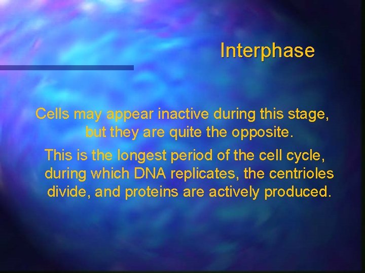 Interphase Cells may appear inactive during this stage, but they are quite the opposite.