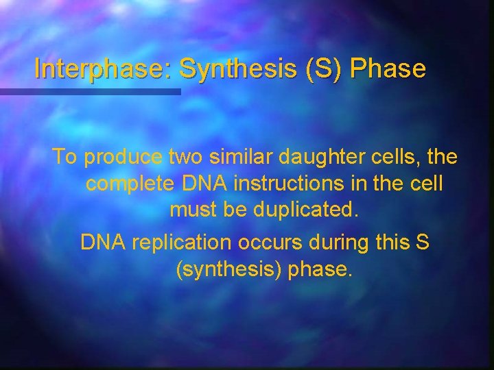 Interphase: Synthesis (S) Phase To produce two similar daughter cells, the complete DNA instructions