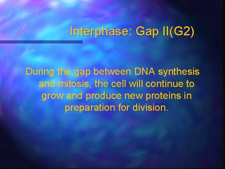 Interphase: Gap II(G 2) During the gap between DNA synthesis and mitosis, the cell