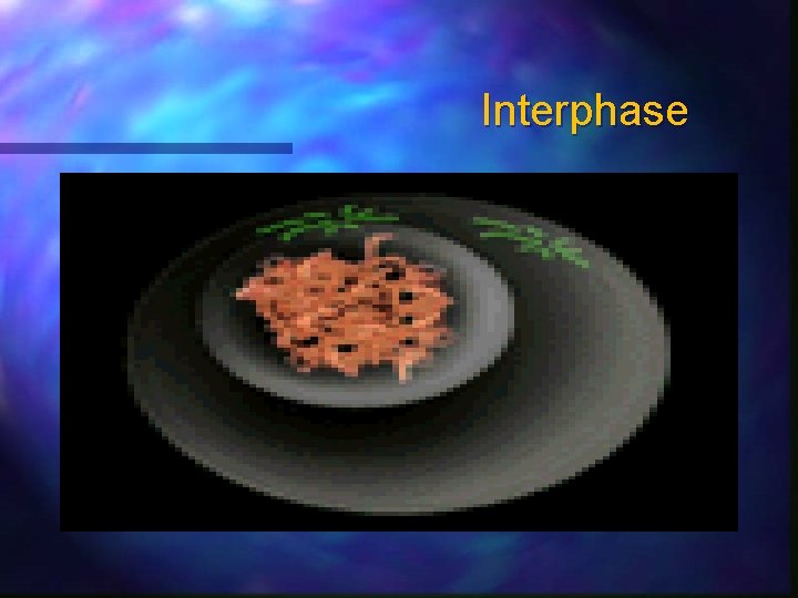 Interphase 