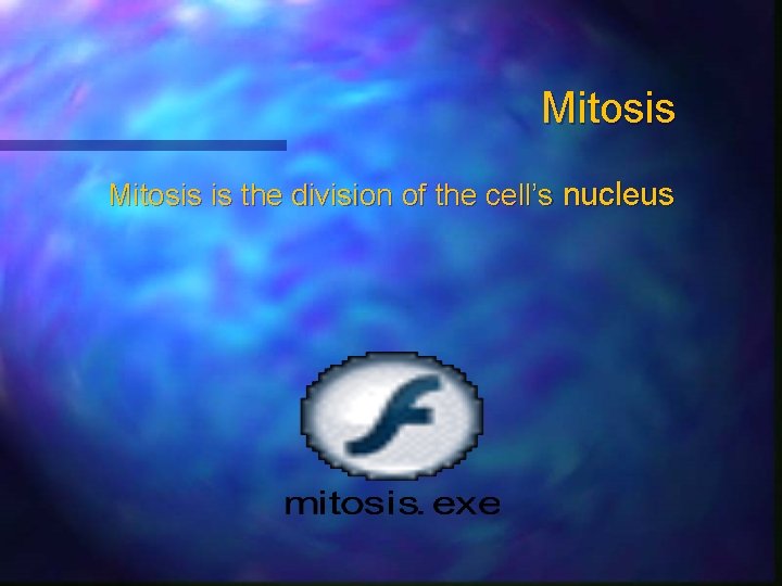 Mitosis is the division of the cell’s nucleus 