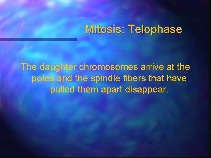 Mitosis: Telophase The daughter chromosomes arrive at the poles and the spindle fibers that