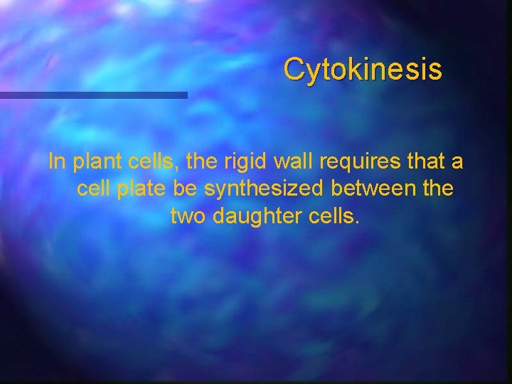 Cytokinesis In plant cells, the rigid wall requires that a cell plate be synthesized