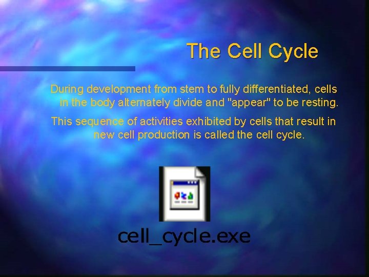 The Cell Cycle During development from stem to fully differentiated, cells in the body