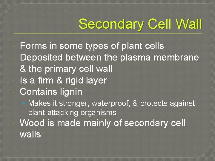 Secondary Cell Wall Forms in some types of plant cells Deposited between the plasma