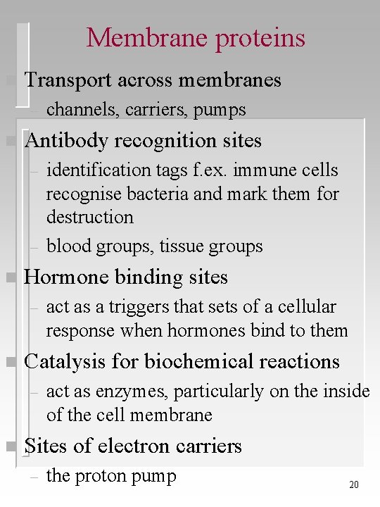 Membrane proteins n Transport across membranes – n Antibody recognition sites – – n