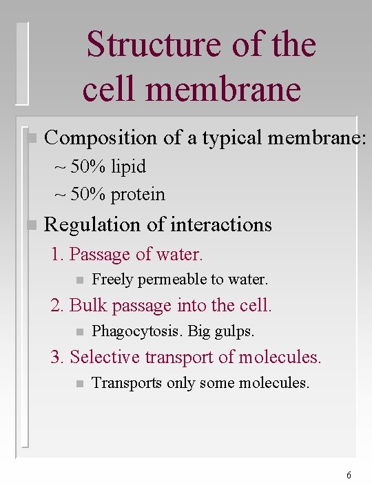 Structure of the cell membrane n Composition of a typical membrane: ~ 50% lipid