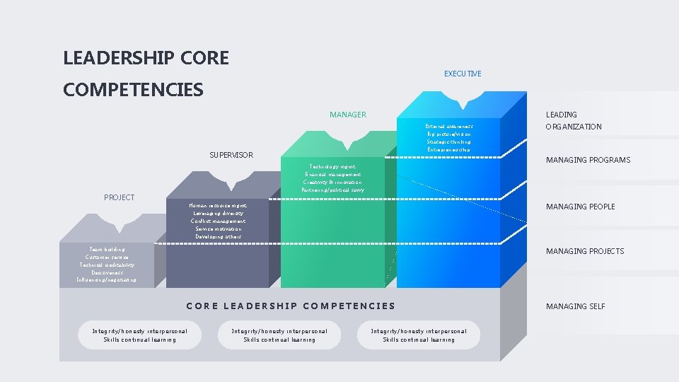 LEADERSHIP CORE EXECUTIVE COMPETENCIES MANAGER LEADING External awareness Big picture/vision ORGANIZATION Strategic thinking Entrepreneurship