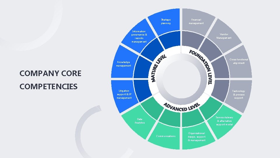 Strategic planning Financial management Information governance & records management Vendor Management Cross-functional alignment Knowledge