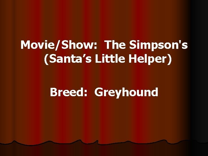 Movie/Show: The Simpson's (Santa’s Little Helper) Breed: Greyhound 