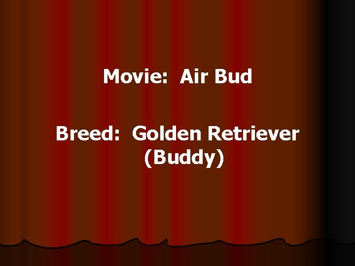 Movie: Air Bud Breed: Golden Retriever (Buddy) 