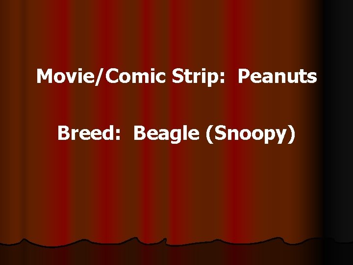 Movie/Comic Strip: Peanuts Breed: Beagle (Snoopy) 