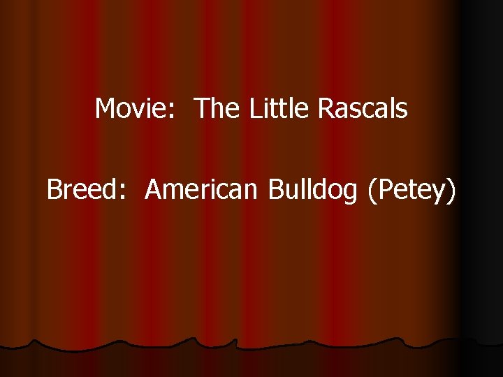 Movie: The Little Rascals Breed: American Bulldog (Petey) 