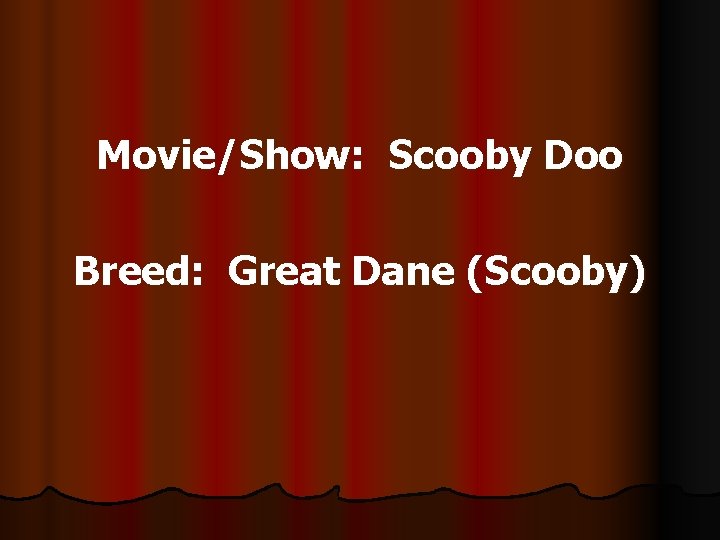Movie/Show: Scooby Doo Breed: Great Dane (Scooby) 